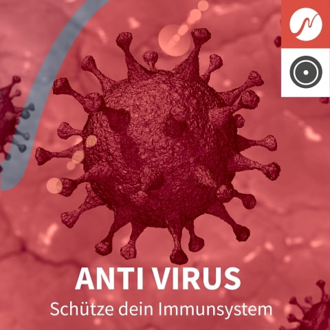 Anti Virus Session (Klein)