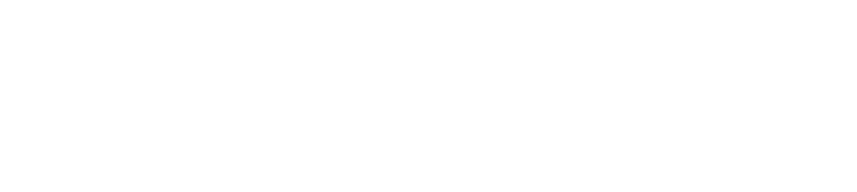neowake.de logo