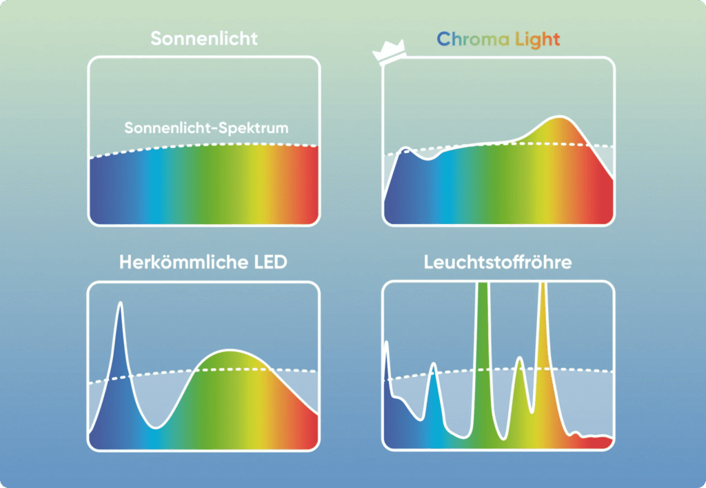 Vergleich verschiedener Lichtspektren: Oben links das natürliche Sonnenlicht mit gleichmäßigem Spektrum, daneben das optimierte Vollspektrumlicht Chroma Light mit breiter Abdeckung über alle Farben hinweg. Unten links eine herkömmliche LED mit starkem Blauanteil und reduziertem Farbspektrum. Unten rechts eine Leuchtstoffröhre mit unregelmäßigem Spektrum und schmalen Farbspitzen. Darstellung zeigt die Unterschiede in Lichtqualität und Farbwiedergabe.
