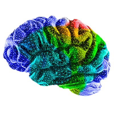 Das biologische Problem: Stress-Reaktion