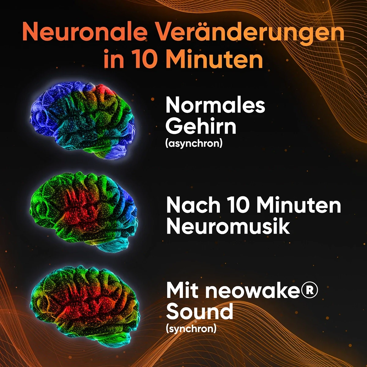 Wissenschaft der Neuroakustik