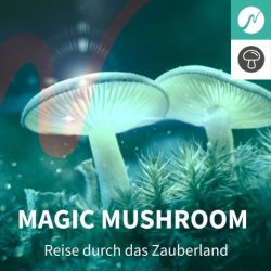 Magic Mushroom